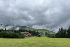 IMG_3913