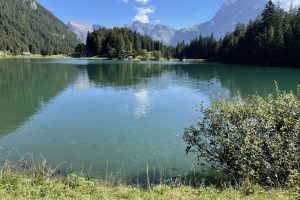 2022-08 Arnisee