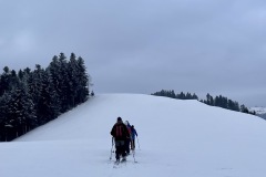 IMG_2490