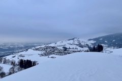 IMG_2494