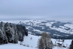 IMG_2500