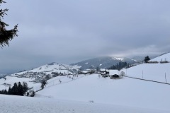 IMG_2502