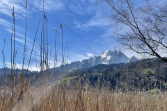 IMG_2634