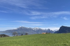 IMG_2648