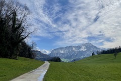IMG_2649
