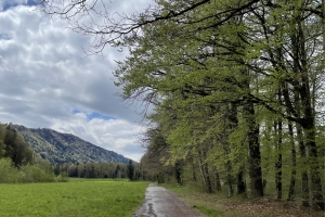 2023-04 Emmenuferweg (Ersatz Homberg)