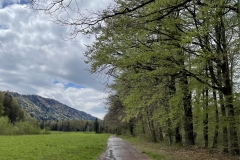 emmenuferweg-02