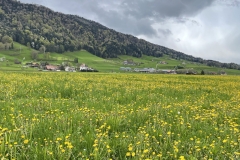 emmenuferweg-06