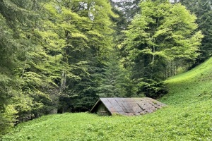 2023-05 Rundtour Sandweg Schwarzenberg