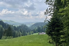 IMG_2911
