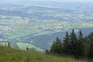 2023-06 Wanderung Ochs