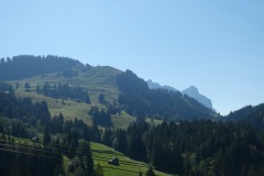IMG_3584