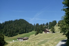 IMG_3604