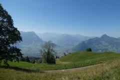 IMG_3608