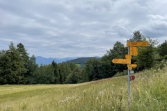 IMG_3336