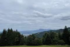 IMG_3337