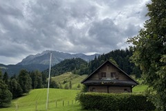 IMG_3341