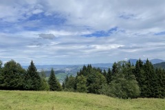 IMG_3347