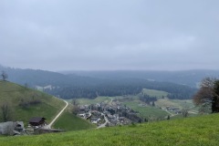 IMG_4456
