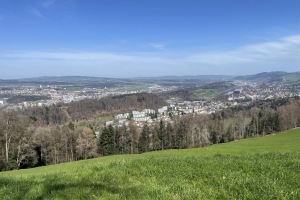 2024-03 Sonnenberg