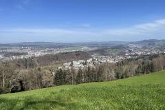 IMG_4553