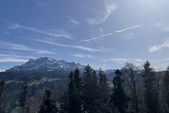IMG_4565