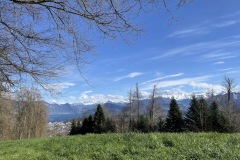 IMG_4567