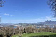 IMG_4569