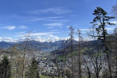 IMG_4570