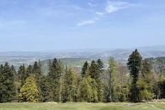 IMG_4775