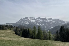 IMG_4784