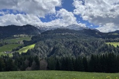 IMG_4611