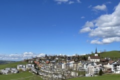 IMG_4619