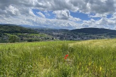 IMG_5023