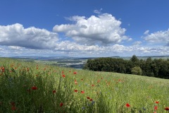 IMG_5028