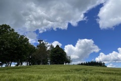 IMG_5029