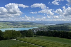 IMG_5037