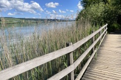 IMG_5043