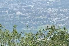 IMG_6730