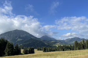 2024-07 Finsterwald-Schwarzenberg