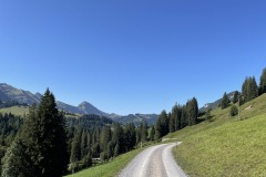 IMG_5663