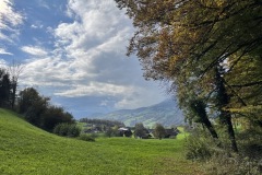 IMG_6123