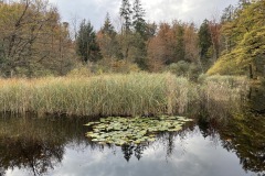 IMG_6135