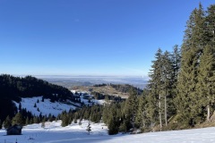 IMG_6951