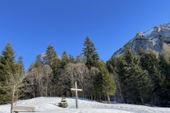 IMG_6952