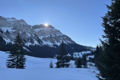 IMG_6953