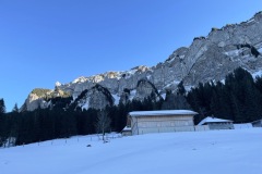 IMG_6957