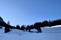 IMG_6959