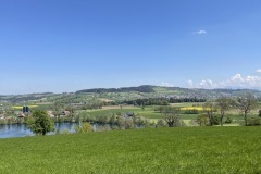 IMG_7506