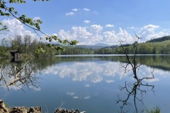 IMG_7517